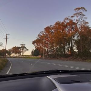 Meet your Posher, Bianca